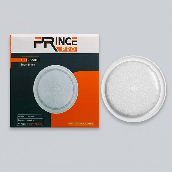 Decorative LED Ceiling Light