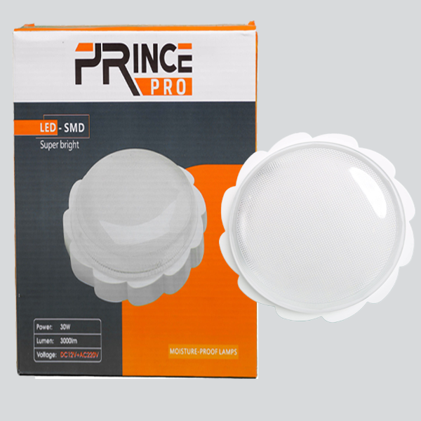 LED ceiling light in the shape of a flower